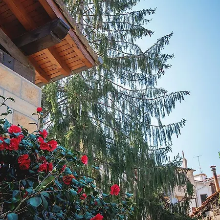 Konbenio Hotel Amorebieta - Etxano